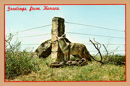 Picture of Rock Fence Post - Thumbnail, click on Back button to return to page.