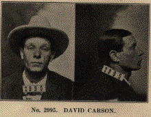 David Carson